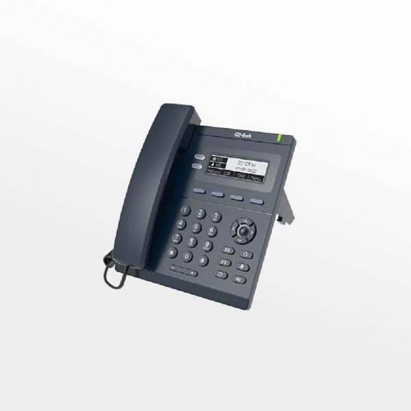 Telefon IP, Entry Level